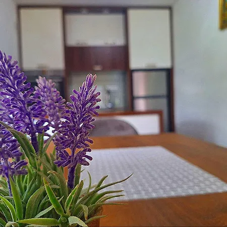 Apartman Kovaci SJJ Exterior photo
