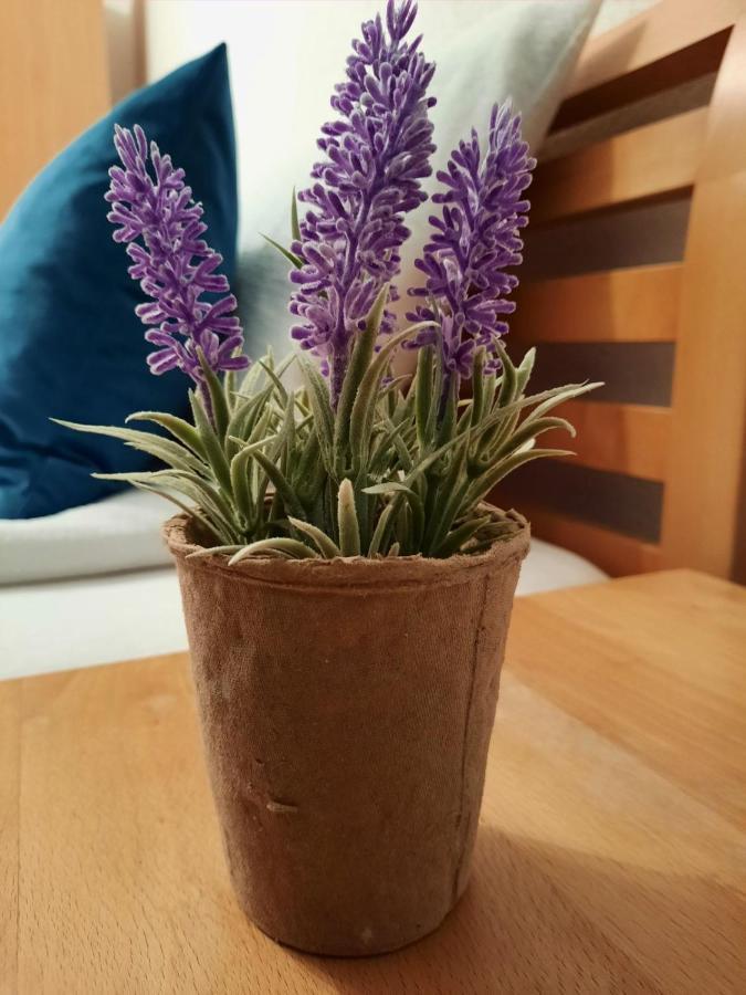 Kovaci Apartmán